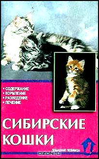 Сибирские кошки. Стандарты. Содержание. Разведение. Профилактика заболеваний